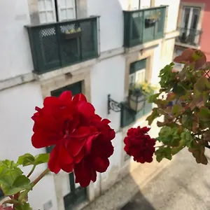 In The Heart Of Lisboa